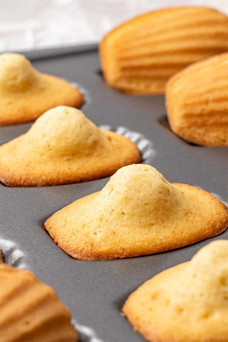Perfect French Madeleines