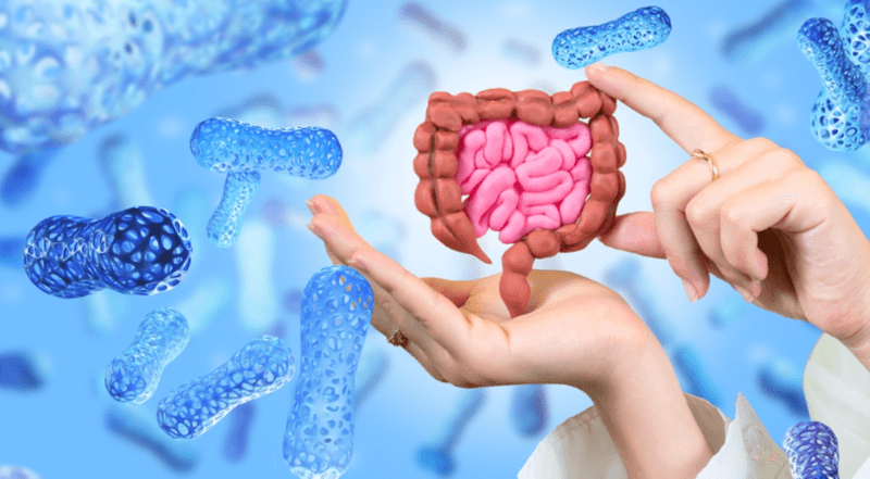 Gut Health Uncertainty