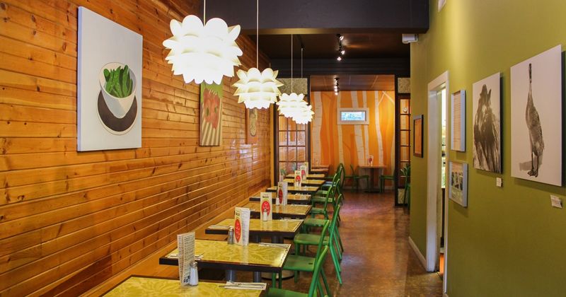 Eco-Friendly Atmosphere That Welcomes Everyone