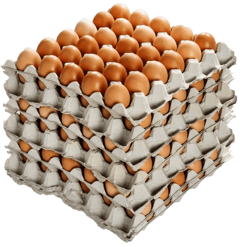 Big Pack of Eggs