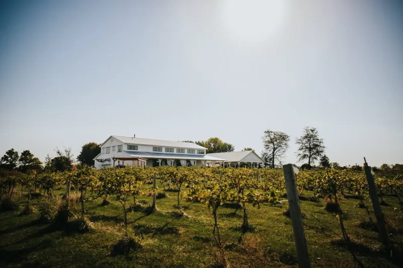 Walker Homestead Farm & Winery – Near Iowa City
