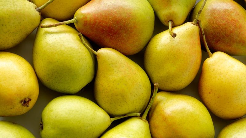Pears