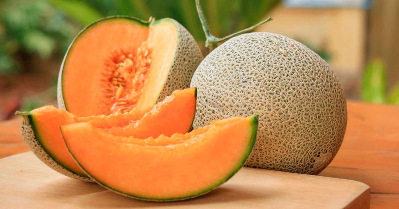 Cantaloupe