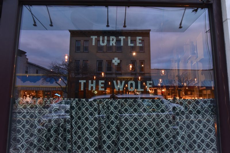 Turtle + the Wolf