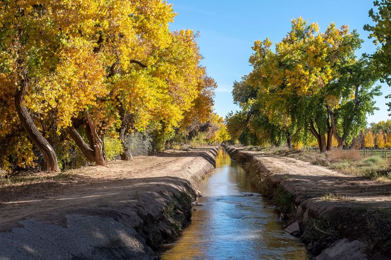 Keeping acequia-grown food traditions going