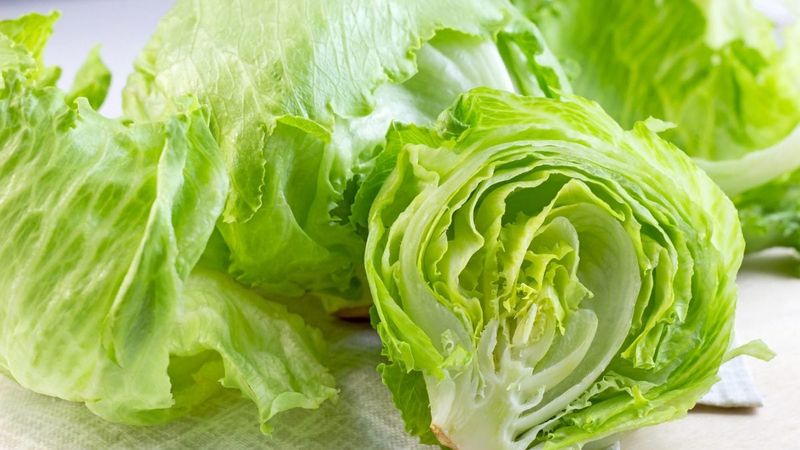Iceberg Lettuce