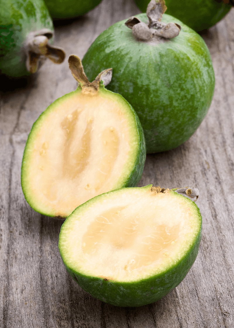 Feijoa (Pineapple Guava)