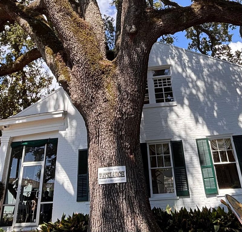 Mary Mahoney's Old French House (Mississippi)