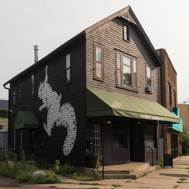 The Crafty Squirrel (Minnesota)