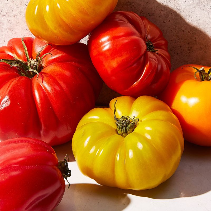 Tomatoes (Out of Season)