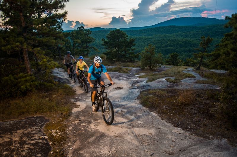 Sparrow’s Perch Bakery