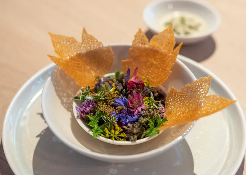 Copenhagen New Nordic Tasting Menu