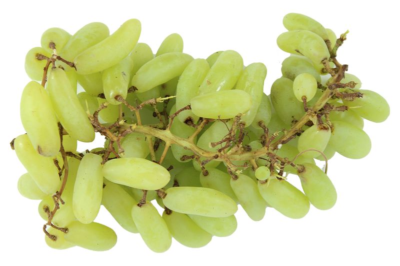 Thompson Seedless