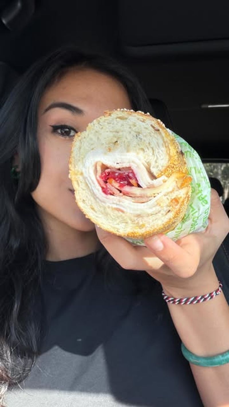 Turkey Cranberry Holiday Sub