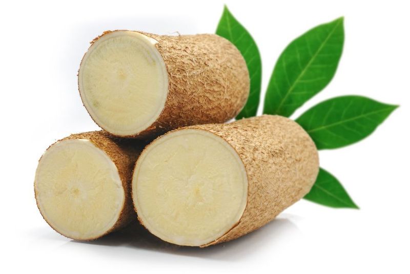 Cassava (Yuca)