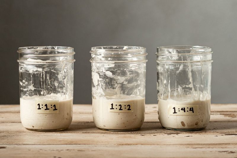 Feeding inconsistently with random schedule or ratios