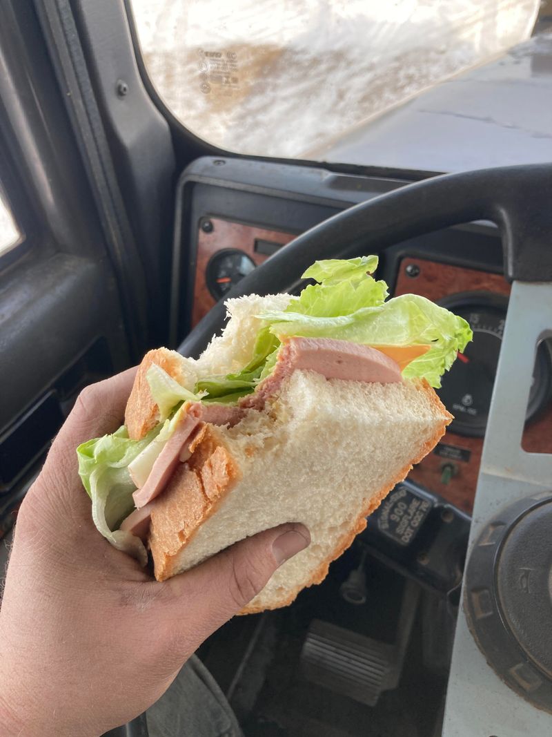 Bologna-Based Sandwiches