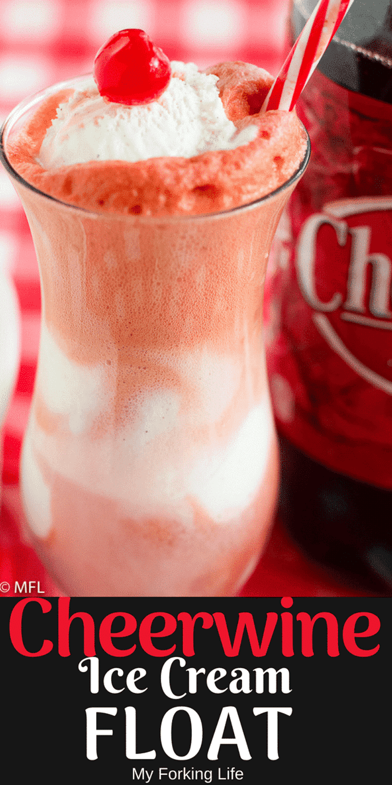Cheerwine Float - North Carolina