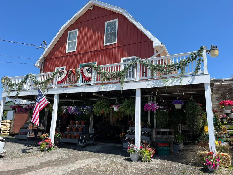 Ritter's Cider Mill: Old-World Techniques