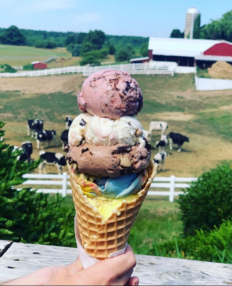Moomers Homemade Ice Cream (Michigan)