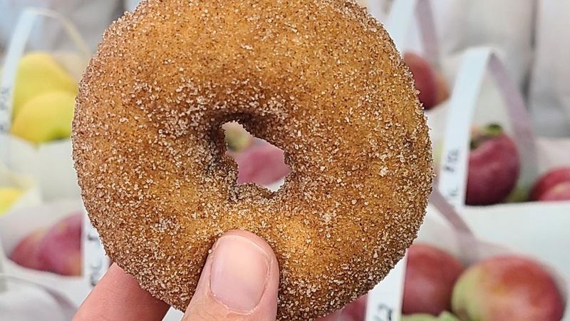 Iowa Orchard - Urbandale's Sweet Retreat