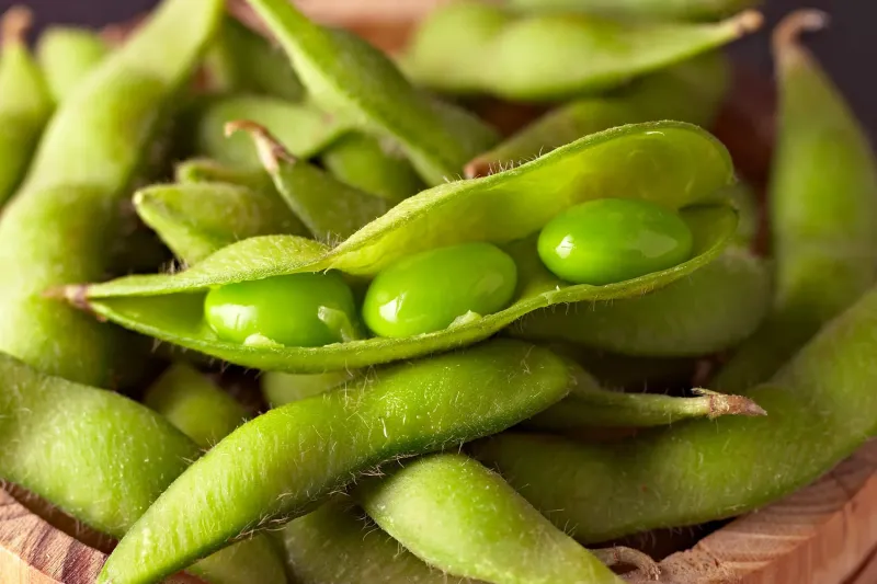 Edamame With Sea Salt