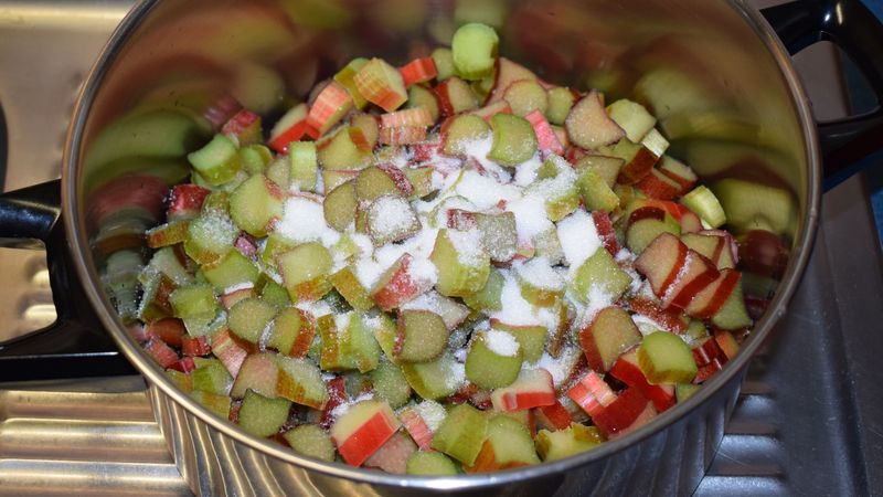 Rhubarb dishes