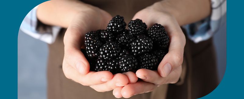 Blackberries