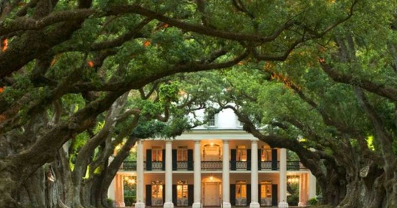 Oak Alley Restaurant: Plantation Views With Historic Flavors