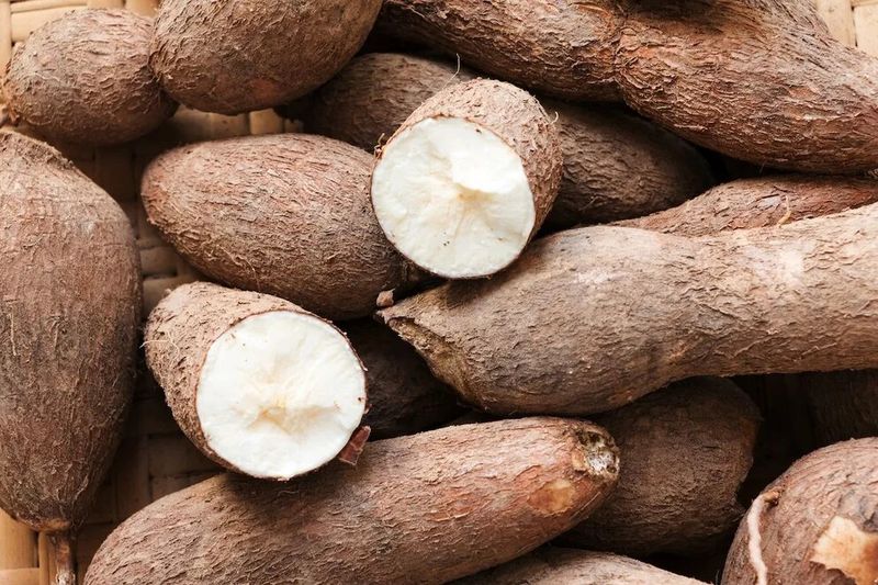 Cassava