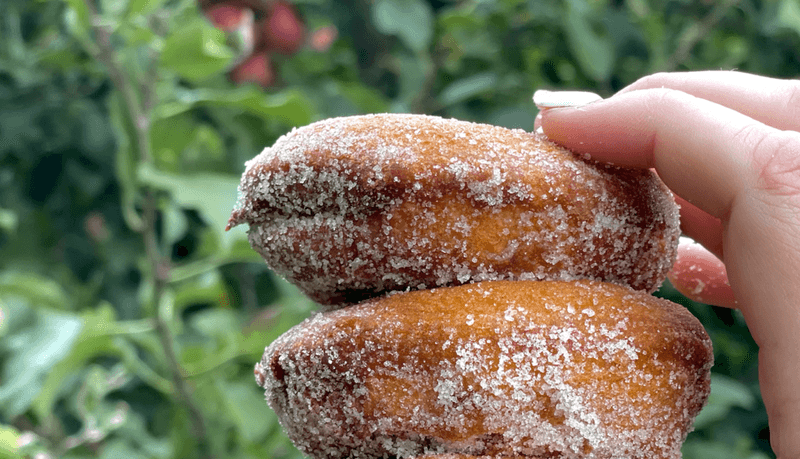 The Aroma That Stops Traffic in Swanton