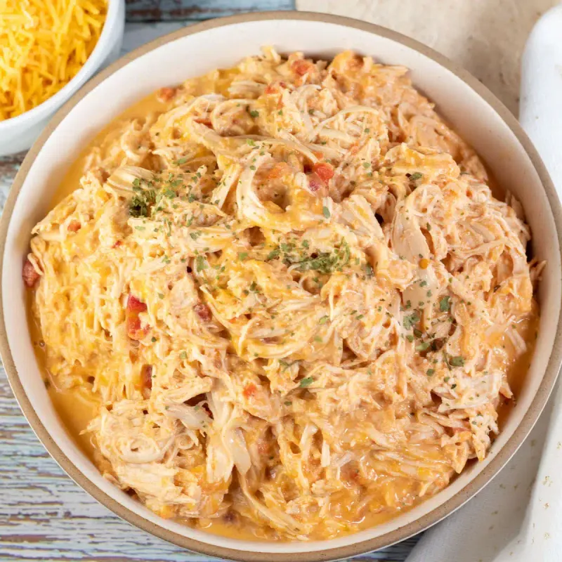 Creamy Salsa Chicken