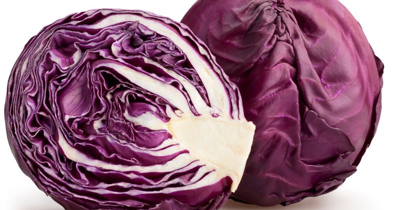 Red Cabbage