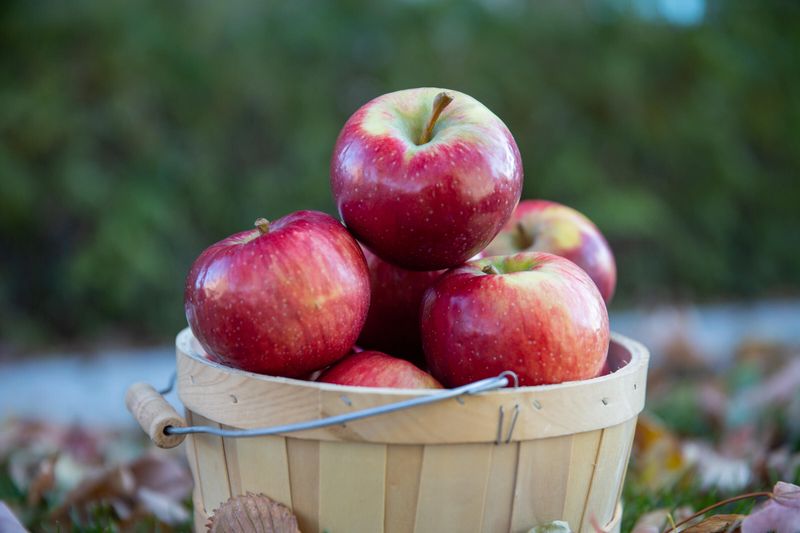 Honeycrisp Apples
