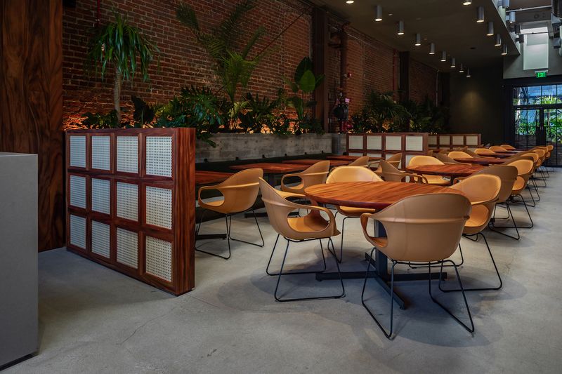 Pujol at Damian Collaboration Pop-Ups - Los Angeles, CA