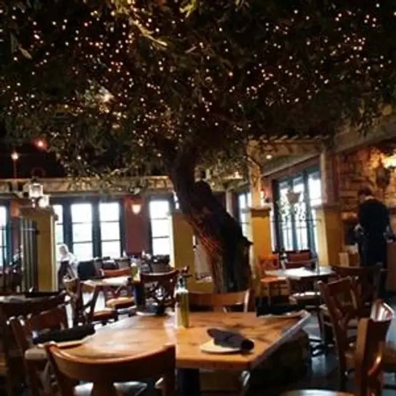 Bella Notte (Kentucky)