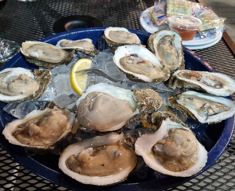 The Oyster Bar — Cape Coral