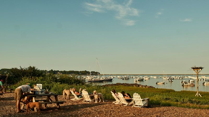 Island Creek’s Raw Bar at the Oyster Farm, Duxbury Bay