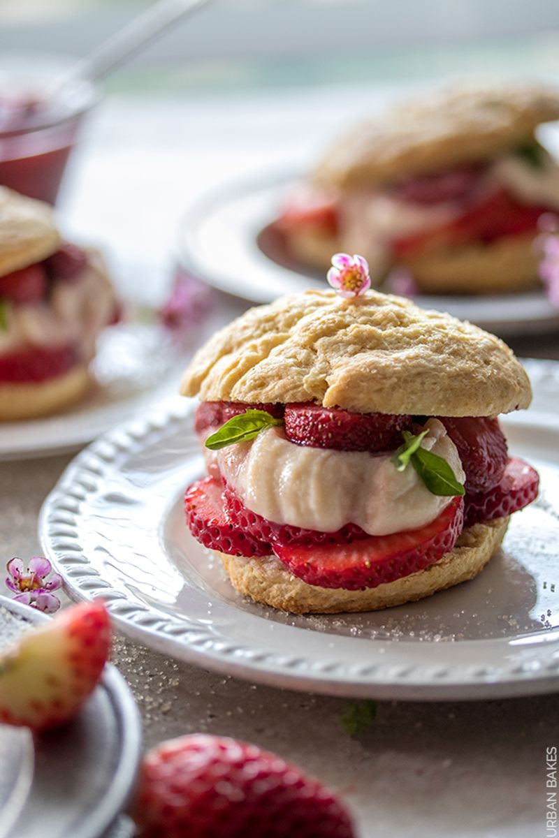 Strawberry Basil Shortcake Layers