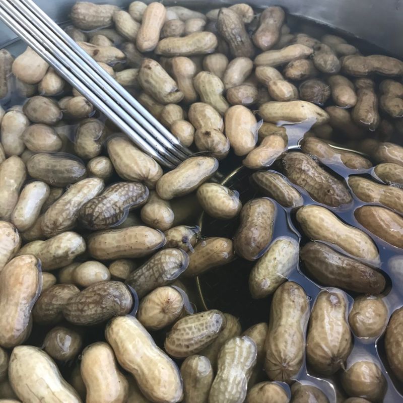 Boiled Peanuts Eastern NC Style