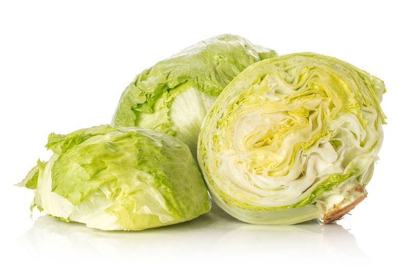 Iceberg Lettuce