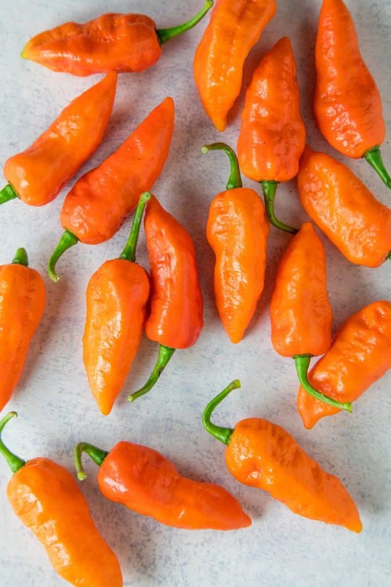 Ghost pepper (bhut jolokia)