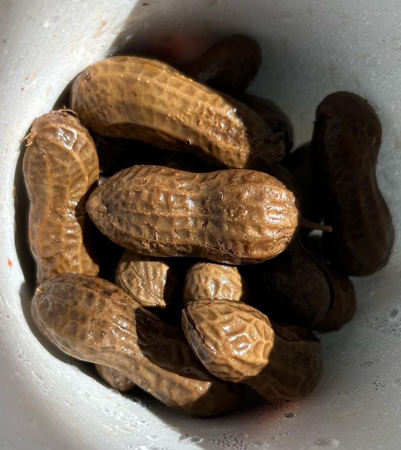 Boiled Peanuts