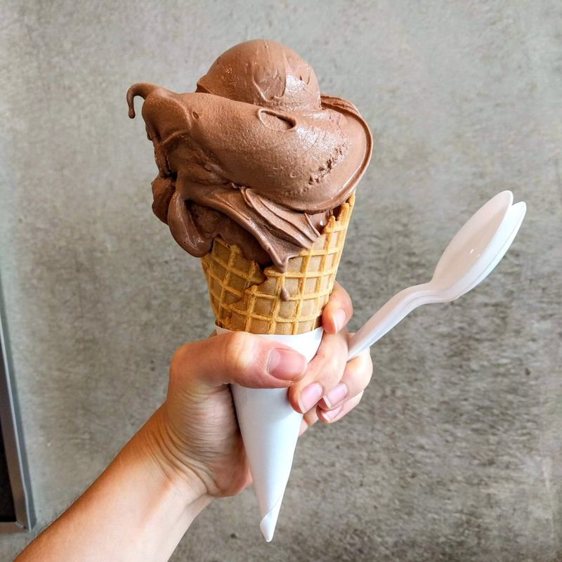 Frozen Custard