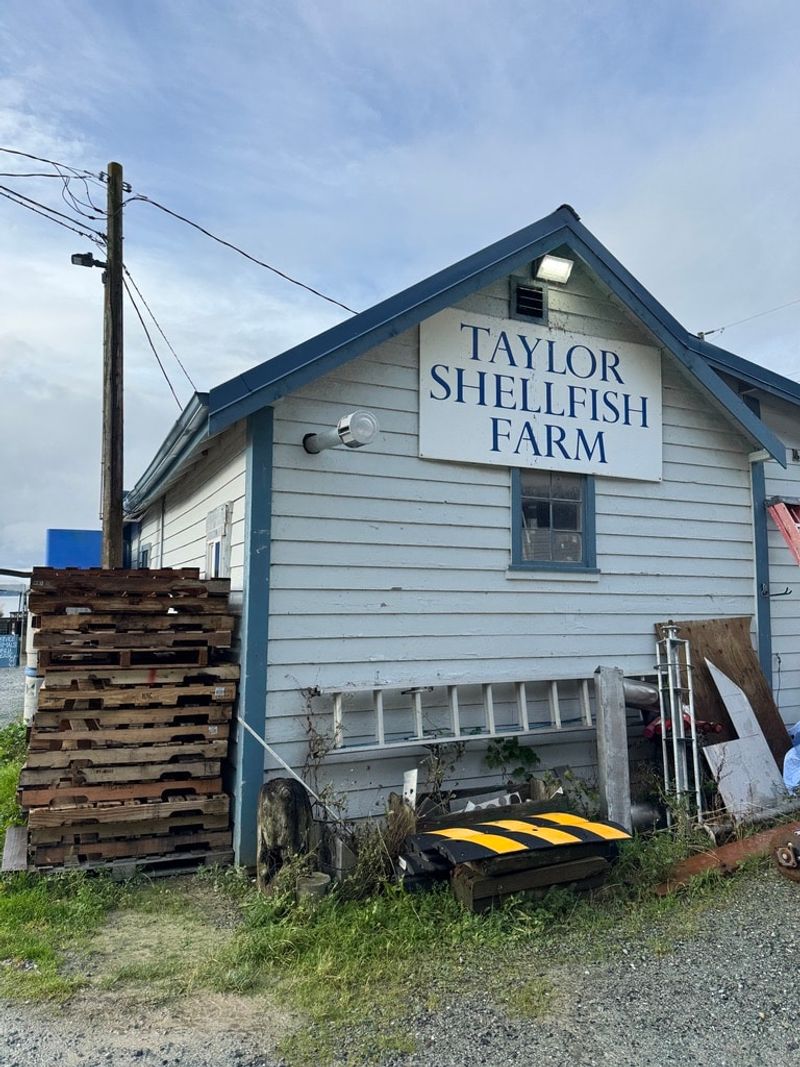 Samish Oyster Bar at Taylor Shellfish Farm (Bow)