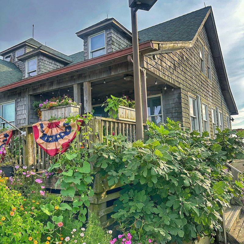 The Paper Canoe, Duck