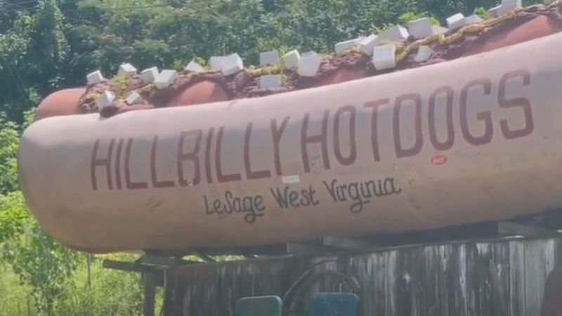 West Virginia, Hillbilly Hot Dogs, Lesage