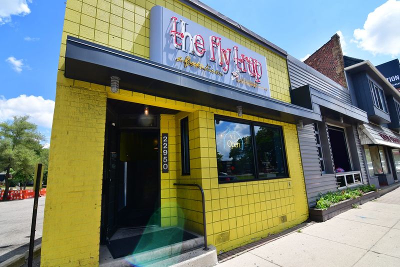 The Fly Trap (Ferndale, Michigan)