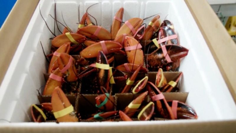 Not considering shipping and storage