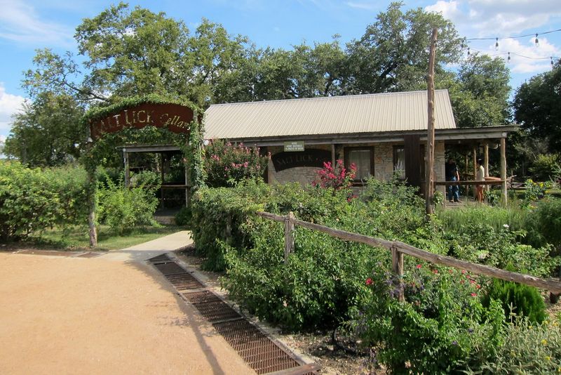 The Salt Lick - Driftwood